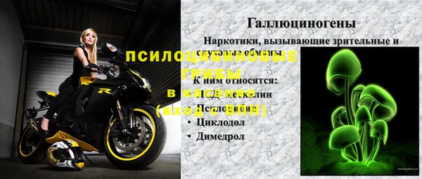 прущие крисы Балахна