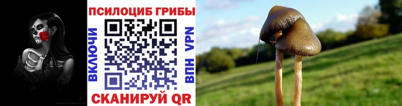 Купить где  Власиха  Галлюциногенные грибы MAGIC MUSHROOMS 
