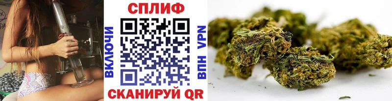 Купить где  Власиха  МАРИХУАНА сатива 